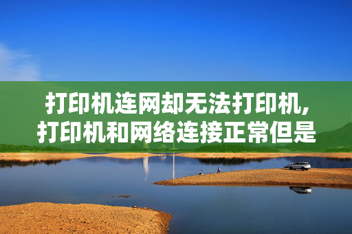 打印机连网却无法打印机,打印机和网络连接正常但是却无法联机打印驱动一切完全正常这是什么原因？