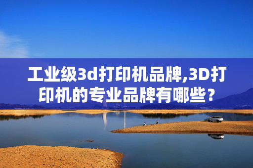 工业级3d打印机品牌,3D打印机的专业品牌有哪些？