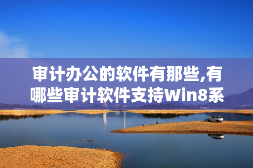 审计办公的软件有那些,有哪些审计软件支持Win8系统和Win server 2012？用友的可以么？