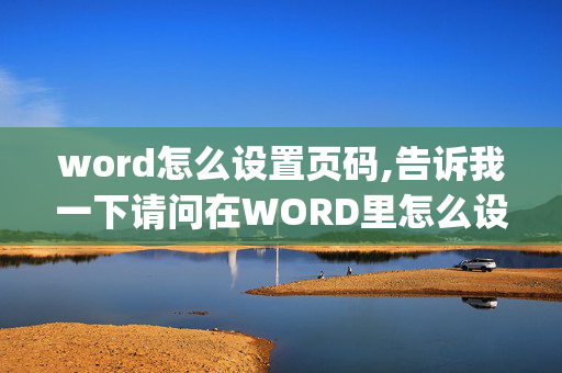 word怎么设置页码,告诉我一下请问在WORD里怎么设置页码啊???(高手请进)　高手都看看吧，不好意思，麻烦大伙了