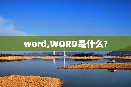 word,WORD是什么?