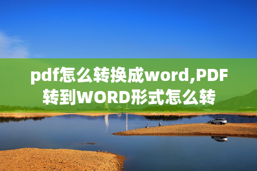 pdf怎么转换成word,PDF转到WORD形式怎么转