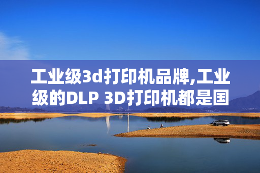 工业级3d打印机品牌,工业级的DLP 3D打印机都是国外制造的吗？