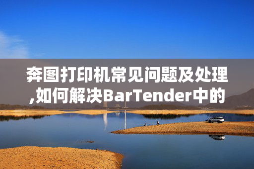 奔图打印机常见问题及处理,如何解决BarTender中的打印错误问题