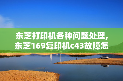 东芝打印机各种问题处理,东芝169复印机c43故障怎样处理