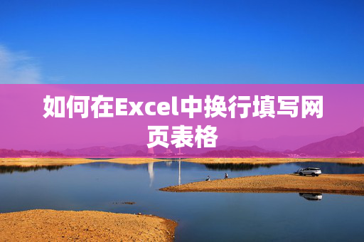 如何在Excel中换行填写网页表格