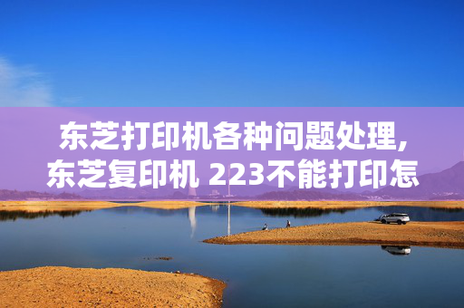 东芝打印机各种问题处理,东芝复印机 223不能打印怎么办