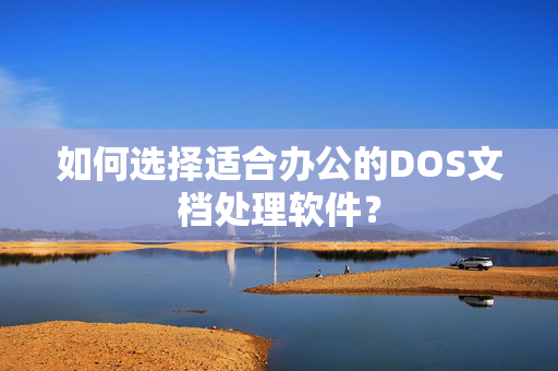 如何选择适合办公的DOS文档处理软件？