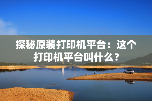 探秘原装打印机平台：这个打印机平台叫什么？