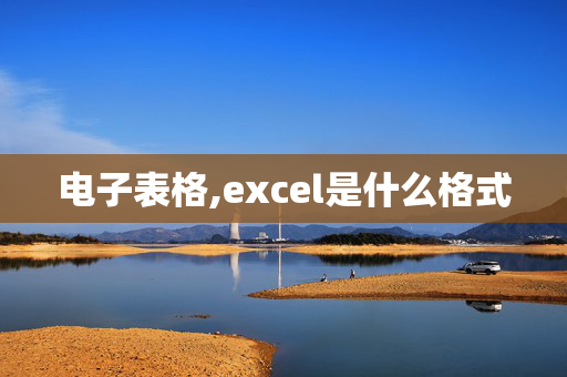 电子表格,excel是什么格式