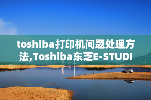 toshiba打印机问题处理方法,Toshiba东芝E-STUDIO 166 复印机在win7安装打印驱动后,显示端口不正确,无法打印,怎么回事?