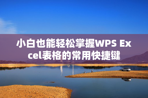 小白也能轻松掌握WPS Excel表格的常用快捷键