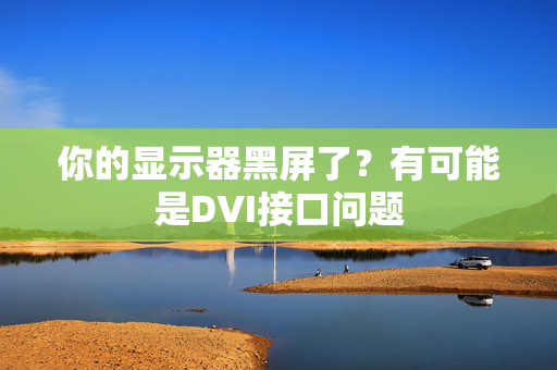 你的显示器黑屏了？有可能是DVI接口问题