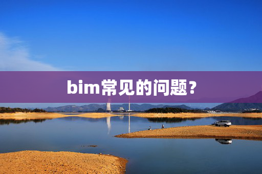 bim常见的问题？