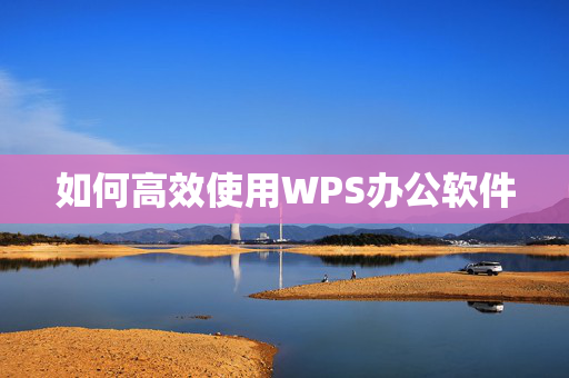 如何高效使用WPS办公软件