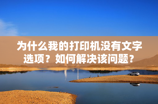 为什么我的打印机没有文字选项？如何解决该问题？