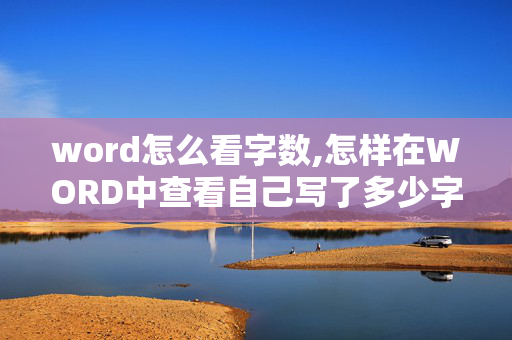 word怎么看字数,怎样在WORD中查看自己写了多少字