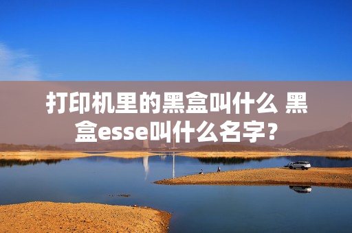 打印机里的黑盒叫什么 黑盒esse叫什么名字？