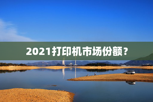 2021打印机市场份额？