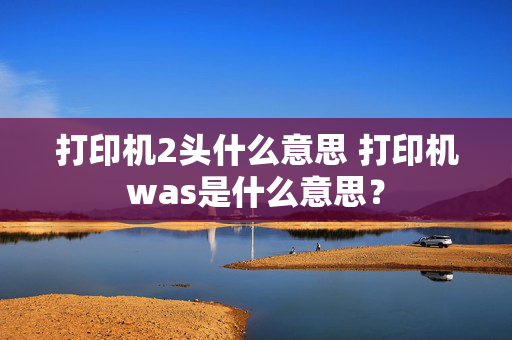 打印机2头什么意思 打印机was是什么意思？