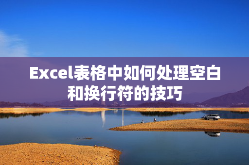 Excel表格中如何处理空白和换行符的技巧