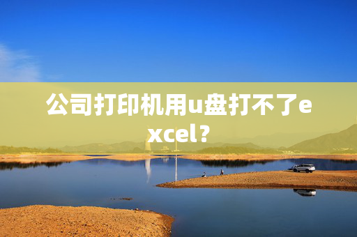 公司打印机用u盘打不了excel？