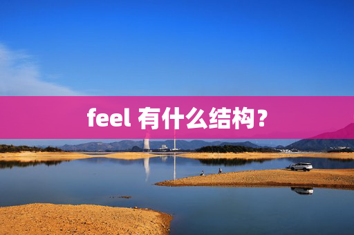 feel 有什么结构？