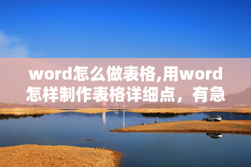 word怎么做表格,用word怎样制作表格详细点，有急用！！！