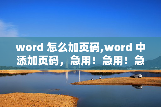 word 怎么加页码,word 中添加页码，急用！急用！急用！谢谢！