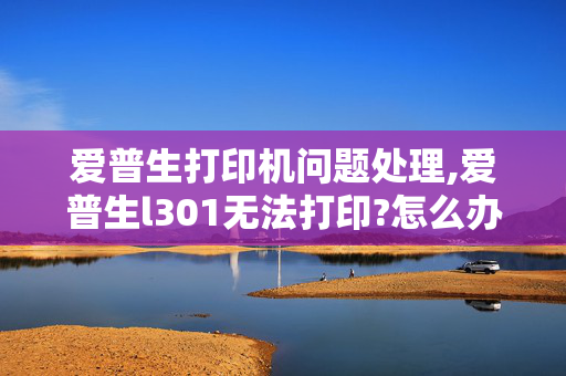 爱普生打印机问题处理,爱普生l301无法打印?怎么办？