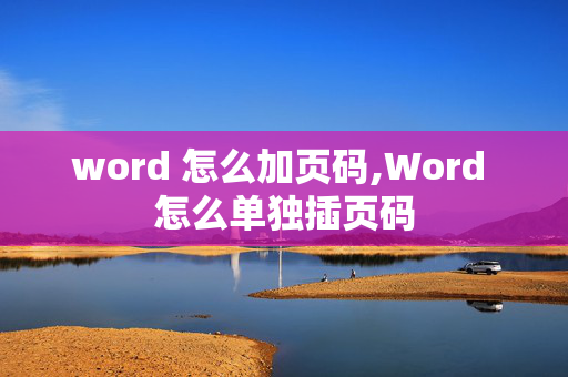 word 怎么加页码,Word 怎么单独插页码