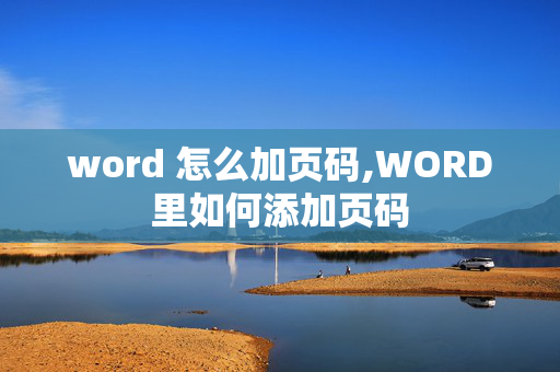 word 怎么加页码,WORD里如何添加页码