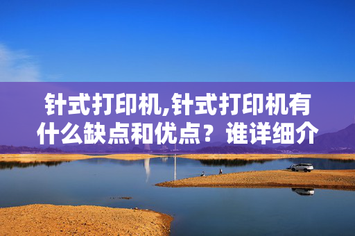 针式打印机,针式打印机有什么缺点和优点？谁详细介绍下 谢谢