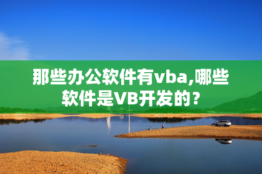 那些办公软件有vba,哪些软件是VB开发的？