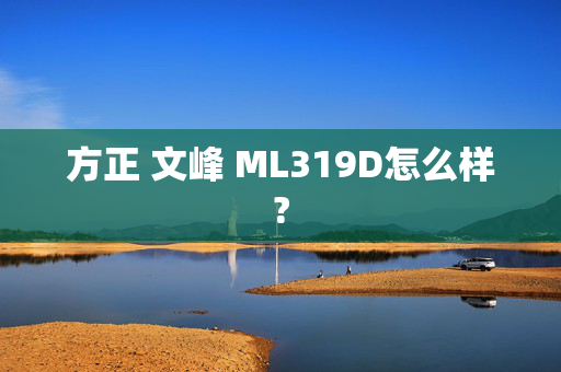 方正 文峰 ML319D怎么样?