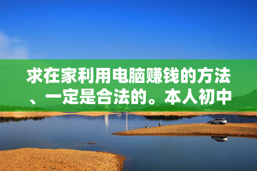 求在家利用电脑赚钱的方法、一定是合法的。本人初中文化，懂简单的电脑操作。