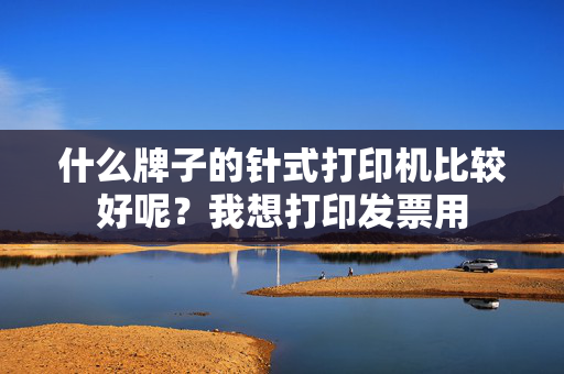 什么牌子的针式打印机比较好呢？我想打印发票用