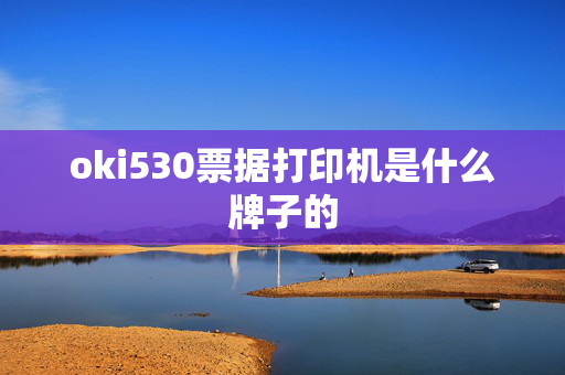 oki530票据打印机是什么牌子的