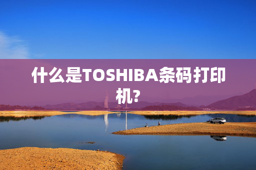 什么是TOSHIBA条码打印机?