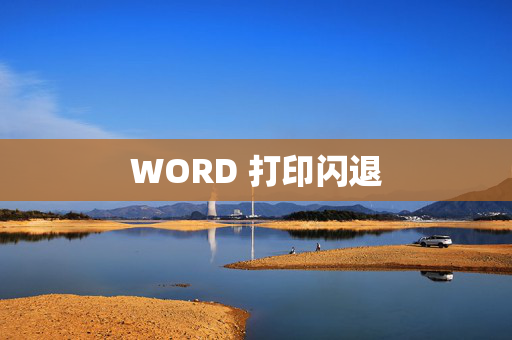 WORD 打印闪退