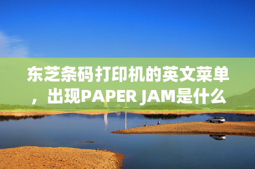 东芝条码打印机的英文菜单，出现PAPER JAM是什么意思？