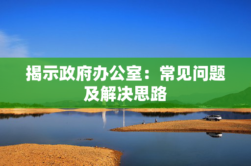 揭示政府办公室：常见问题及解决思路