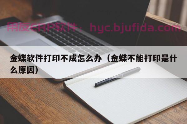 用友无法打印机设置权限(用友无法打印机设置权限怎么办)