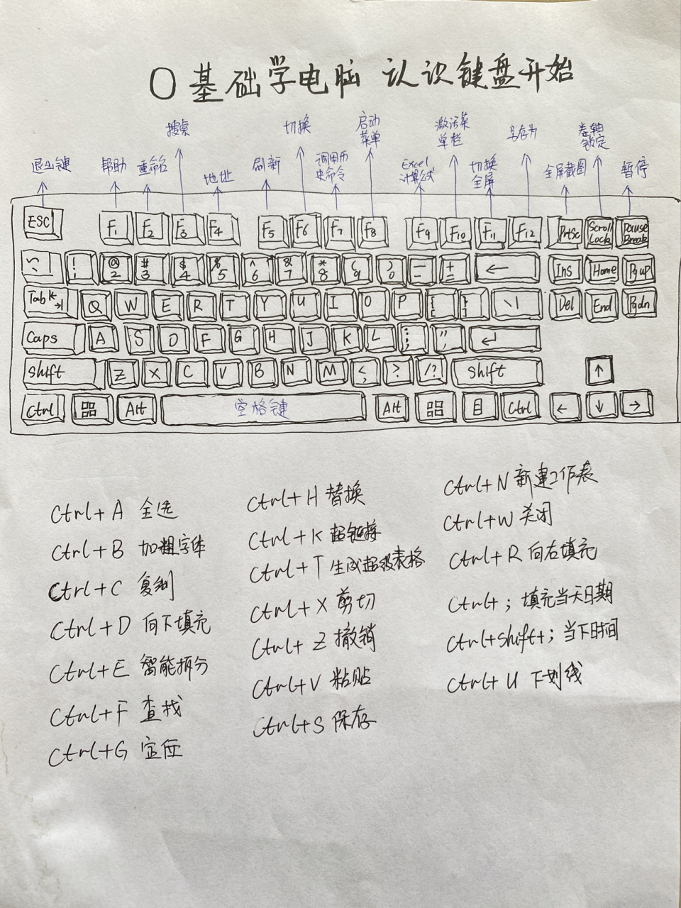 办公软件的小知识点总结(常用办公软件基础知识试题及答案)