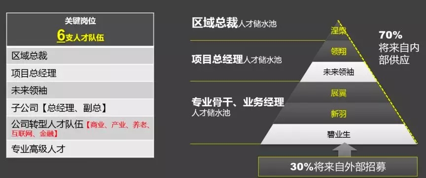 领翔办公软件下载(领翔办公软件下载官网)