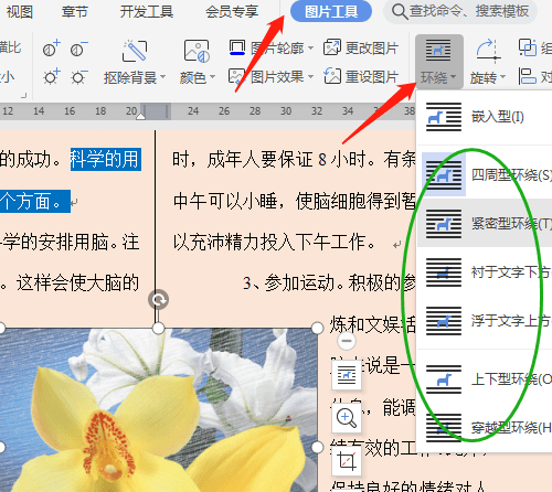 办公软件文档(办公软件文档免费下载软件)